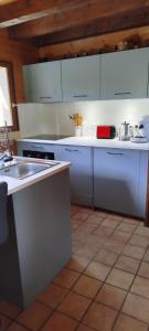 Kuchyň nebo kuchyňský kout v ubytování Demichalet