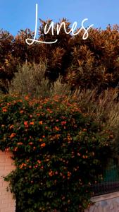 a sign that says angels above a bush of flowers at Ca Zoe calma y mar in Matola +2 photos