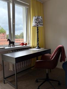 马尔堡Widok na Zamek的一张桌子上放着一盏灯，窗台上趴着一只猫。