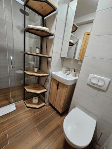 Koupelna v ubytování Privatni Apartman A31 Vučko Aparthotel + 16 fotografií