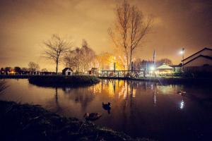 Afbeelding uit fotogalerij van The Black Swan in Glazebrook