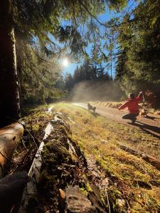 une personne empruntant un vélo sur un chemin de terre dans l'établissement Ferienhaus Robin, à Titisee-Neustadt