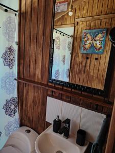 a bathroom with a sink and a toilet and a mirror at Casa Puente en Rivadavia in Vicuña