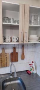 um balcão de cozinha com um lavatório, pratos e utensílios em CheapStayVilnius em Vilnius