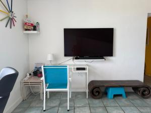 TV a/nebo společenská místnost v ubytování Le Racou Residence Les Muriers 48 m2 F3