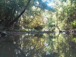 Φυσικό τοπίο κοντά σε αυτό το διαμέρισμα