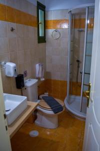 a bathroom with a toilet and a shower and a sink at Muntenia Inn Apartments and Suites in Kalavrita