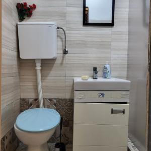 Fotografie z fotogalerie ubytování JASMIN suites v Bělehradě