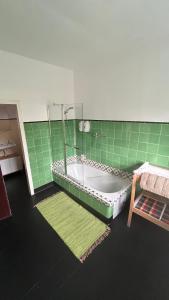 a green tiled bathroom with a tub and a bed at Casa Morgado do Casco in Estremoz
