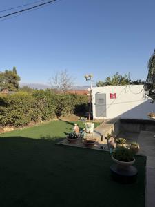 a garden with potted plants on a patio at יחידת דיור חדשה עם מקלט - היחידה בגליל in Qiryat Shemona
