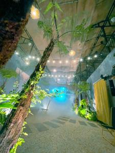 Bazén v ubytování Thien Phu Homestay and Coffee - Mang Den nebo v jeho okolí