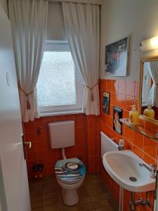 a bathroom with a toilet and a sink and a window at Haus Schluchseeblick in Schluchsee +32 photos