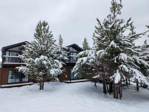 ein Haus im Schnee mit Bäumen davor in der Unterkunft Wenuk Patagonia in San Carlos de Bariloche