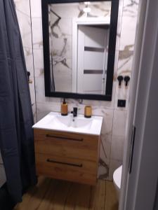 ギジツコにあるGiżycko Studio Apartamentの洗面台と鏡のあるバスルーム