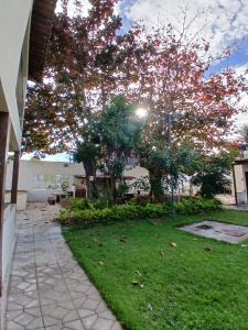 a tree with pink flowers in a yard at Casa Confortável - Cabo Frio in Cabo Frio