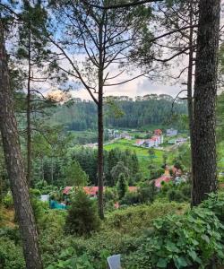 Φυσικό τοπίο κοντά σε αυτή η παραθεριστική κατοικία