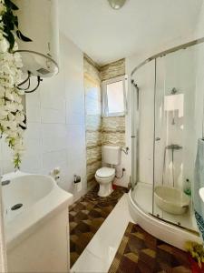 a bathroom with a shower and a toilet and a sink at PrivatHomeUlcinj1 in Ulcinj