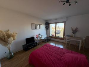 une chambre avec un lit avec un couvre-lit rouge dans l'établissement Appart 8min à pied de la gare, au Mans 3 autres photos