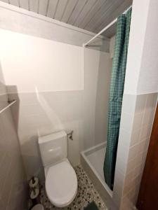 a small bathroom with a toilet and a shower at Chez Cle'Montagne in Ovronnaz