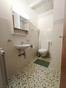 a bathroom with a sink and a toilet at Chez Cle'Montagne in Ovronnaz