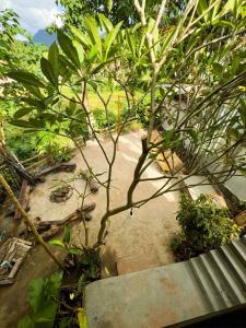 a small tree in the middle of a garden at Tropical Project in Pai in Pai