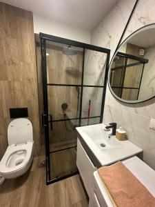 a bathroom with a toilet and a sink and a mirror at Panorama in Bukorovac