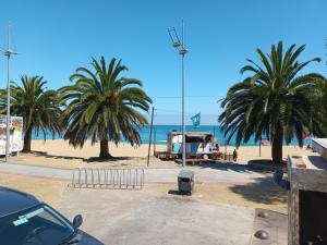 a view of a beach with palm trees and the ocean at Hospedaje en departamento compartido in Valparaíso +9 photos