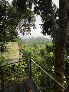 Příroda nedaleko chaty