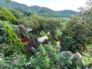 Příroda nedaleko chaty + 69 fotografií