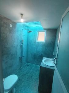 a bathroom with a shower and a toilet and a sink at Samudura Beach House, Owakanda in Rathgama