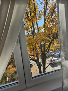 プロイェシュティにあるChique Apartamentの木の見える窓