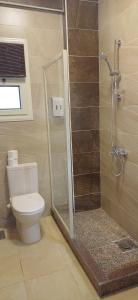a bathroom with a toilet and a glass shower at Golden Sun House II in Abu Simbel