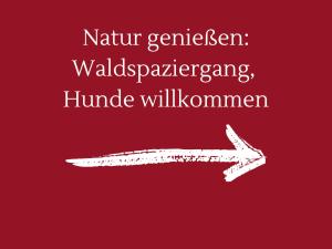 a picture of an airplane with the words nature generalisen waldernesserness at Gut Petersdorf Lensahn - ideal für Familien und Hunde - mit Kamin, Parkblick, Terrasse und eingezäuntem Garten in Lensahn