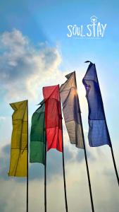 Fotografie z fotogalerie ubytování Soulstay Resort v destinaci Chinchavli