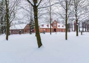 a group of trees in the snow in front of a building at Gut Petersdorf Lensahn - ideal für Familien und Hunde - mit Kamin, Parkblick, Terrasse und eingezäuntem Garten in Lensahn
