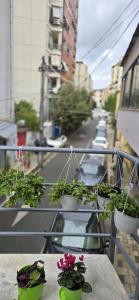 a balcony with potted plants on a city street at AR Apartments 2 in Tirana