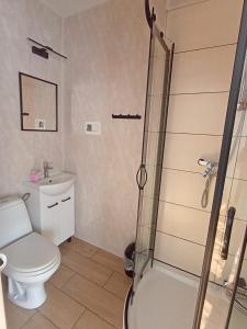 シュツァブニツァにあるWilla Safra Szczawnicaのシャワー、トイレ、洗面台を備えたバスルーム