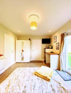een slaapkamer met een groot bed in een kamer bij Private en-suite studio in Dunboyne