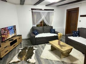 ein Wohnzimmer mit Sofa und Fernseher in der Unterkunft Le petit nid de cigogne in Colmar