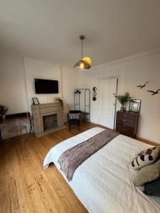 ein Schlafzimmer mit großem Bett und Fernseher in der Unterkunft Chambre Le Phare - Villa Les Embruns - à 5min à pied de Nausicaa, plage, centre Ville - Côte d'Opale in Boulogne-sur-Mer