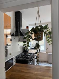 eine Küche mit Herd und einigen Topfpflanzen in der Unterkunft Chambre Le Phare - Villa Les Embruns - à 5min à pied de Nausicaa, plage, centre Ville - Côte d'Opale in Boulogne-sur-Mer
