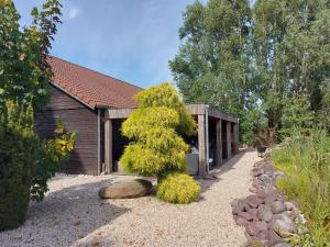 a small tree in front of a building at Studio with Pool Table and Optional Sauna & Hot Tub in Zwaanshoek