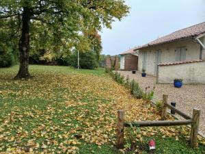 a yard covered in leaves with a fence and a tree at Love-Room Spa de la TRUFFIERE in Bertric-Burée