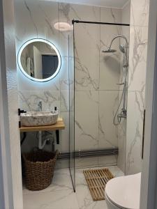a bathroom with a shower and a sink and a mirror at Victoria 1 Room Apartment- Self Check in 24h in Reşiţa