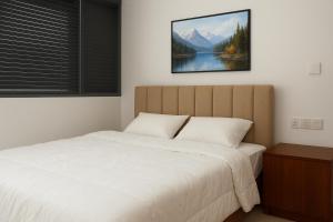 um quarto com uma cama e um quadro na parede em Trizen,City & Port View Luxury Apartment in Colombo em Colombo mais 39 fotografias