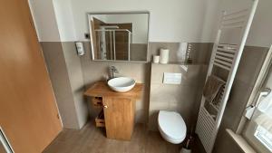 Koupelna v ubytování Adler Haus + 3 fotografie