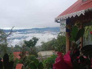 Příroda nedaleko ubytování v soukromí