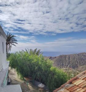 a view of a row of palm trees on a roof at Casa Edelmira Apartment in Vallehermoso