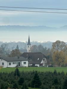 Příroda nedaleko apartmánu