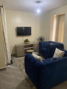 Μια τηλεόραση ή/και κέντρο ψυχαγωγίας στο Excelesior bnb